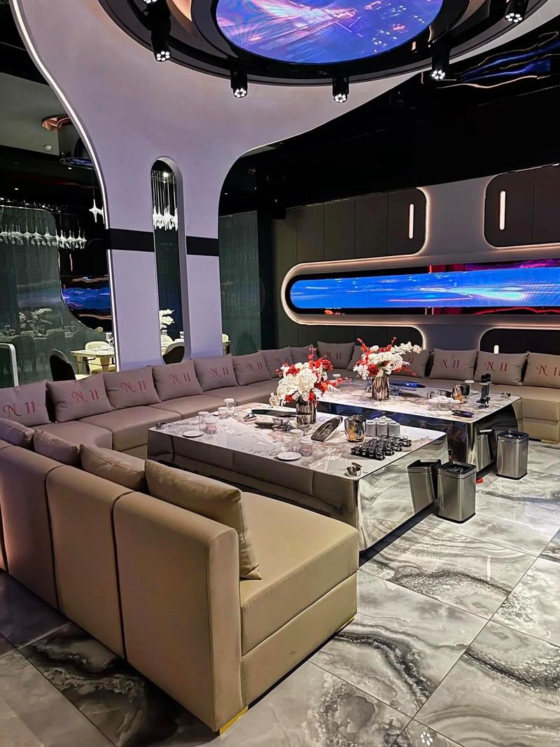 常德商务ktv经济实惠-鼎城区ktv预订